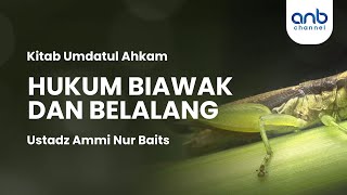 Hukum Biawak & Belalang | Ustadz Ammi Nur Baits