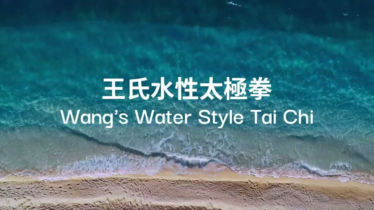 一觸即發: 太極八法示神奇 #太極拳