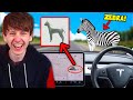 Tesla Can Officially See ANIMALS on Screen! Let&#39;s test it!