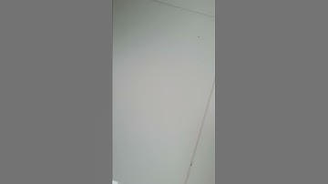 Głupi mikołaj lewandowski