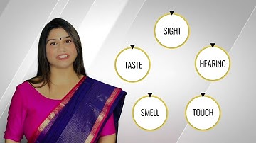 Experiential Learning