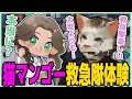 【#ストグラ】猫マンゴーの救急隊体験/ノビー作詞作曲猫マンゴーの歌【#キラメキーラ #猫マンゴー #雷堂ましろ #ノビーラング #元難波芽久美 GTA5】