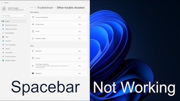 How to Fix Spacebar not Working