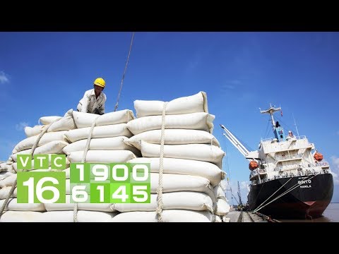 Video Dư thừa nguồn cung, gạo Việt Nam có thể xuất khẩu |... - youtube