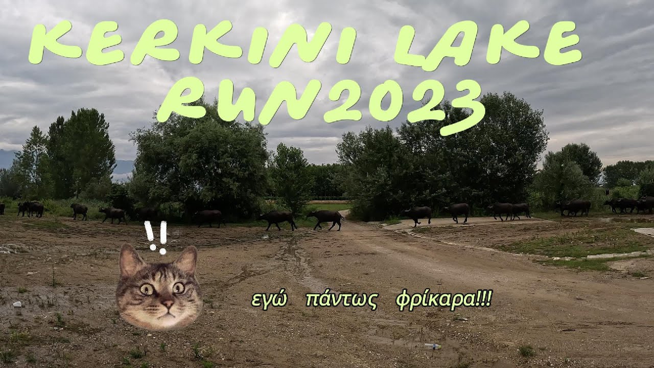 Kerkini Lake Run 2023