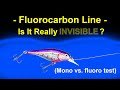 Fluorocarbon vs. Monofilament Lines - Visibility Test Underwater