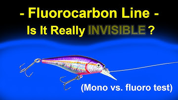 Fluorocarbon versus monofilament lijnen - Zichtbaarheidstest onder water