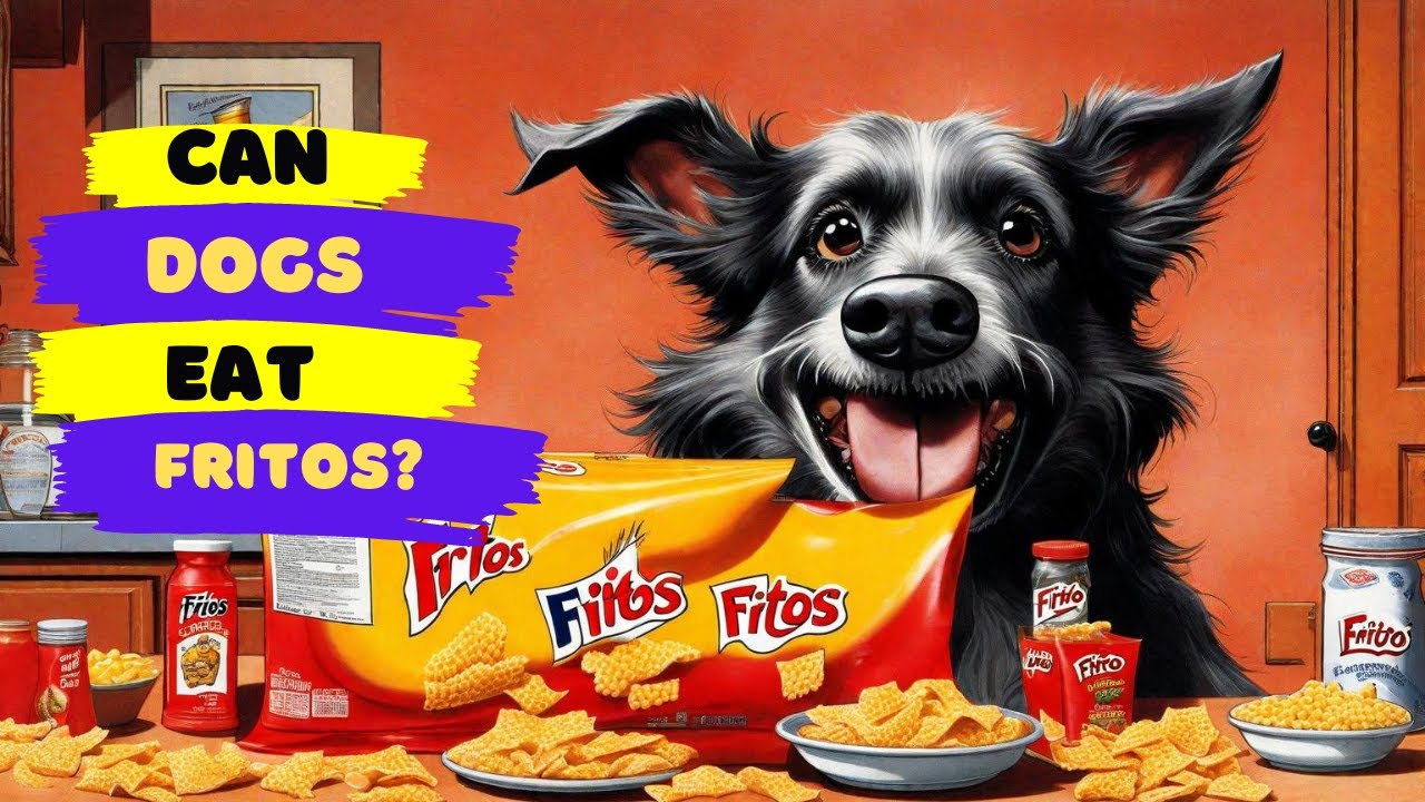 Illustration of Hydrating Fritos Poisoning In Dogs