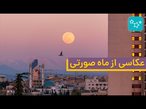 تصویری: زنبور صورتی در پینکبری چیست؟