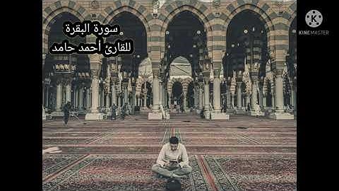 سورة البقرة -"وَإِذْ وَاعَدْنَا مُوسَىٰ أَرْبَعِينَ لَيْلَةً" للقارئ أحمد حامد 🎧🖤
