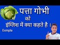 patta gobhi ko english mein kya Kahate Hain || पत्ता गोभी को इंग्लिश में क्या कहते है ।