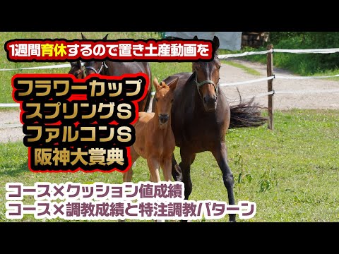 2023年開催）フラワーカップ・スプリングＳ【中山芝1800m】ファルコンＳ【中京芝1400m】＋阪神大賞典の対策動画