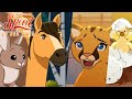 Spirit et ses amis partie 1  4 pisodes complets  courtmtrages en exclusivit