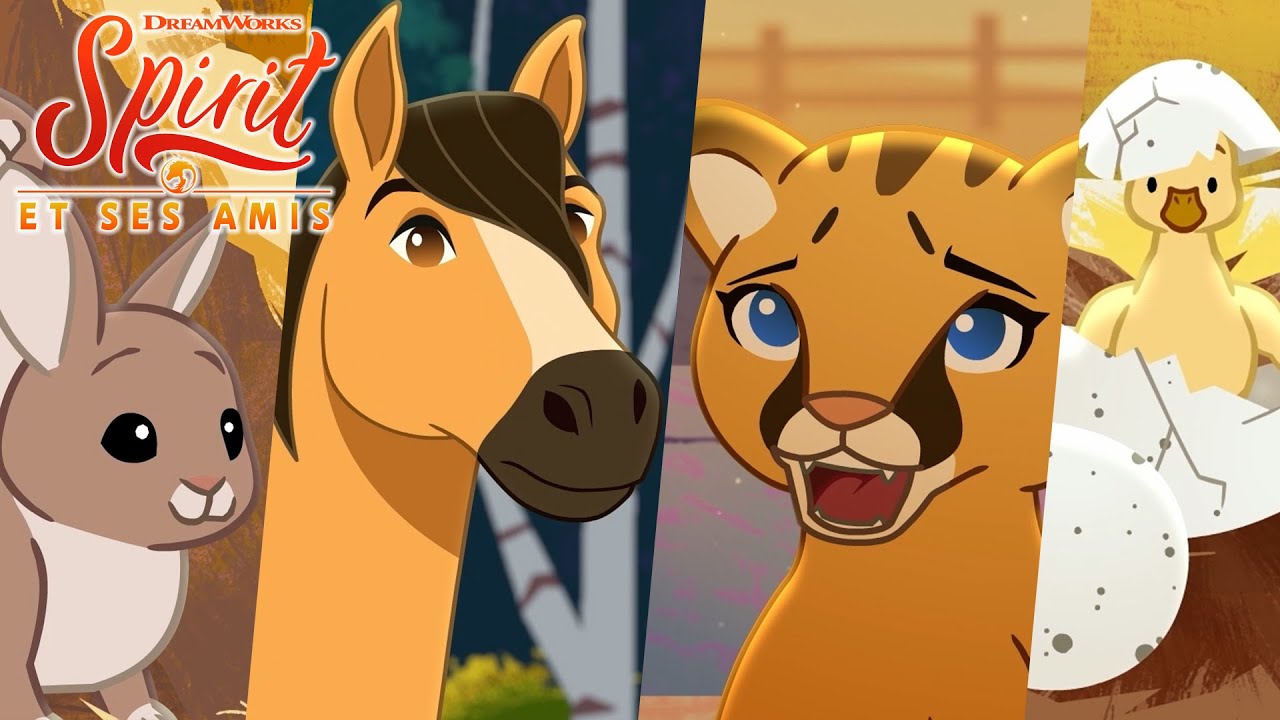 Spirit et ses amis Partie 1 | 4 épisodes complets | Court-métrages en