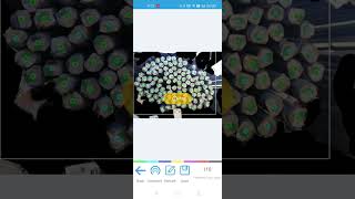 Automatically count rebar with mobile phone  - CountThings By Camera APP