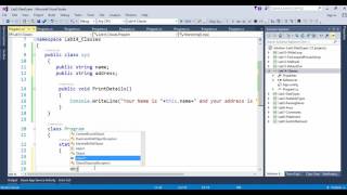Celebrity Lab14 Class constructor object destructor in c# Profile