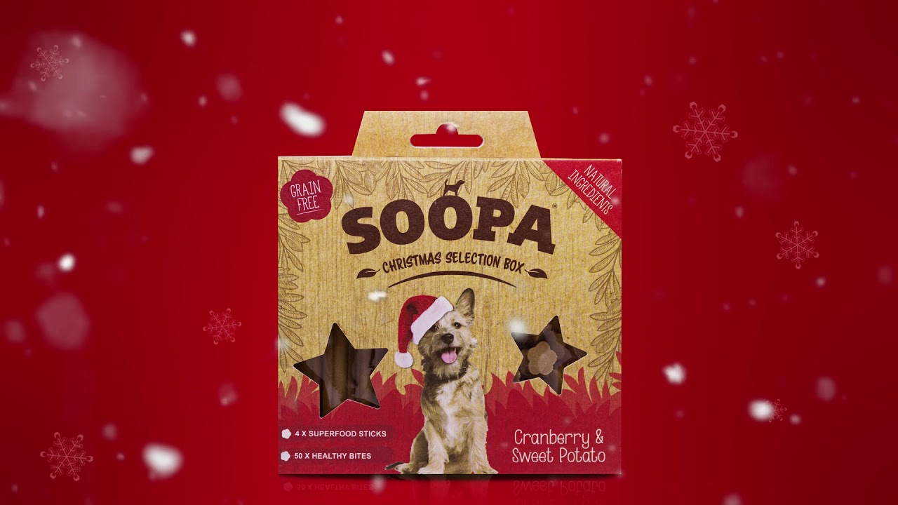 dog christmas selection box