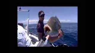 Guide to Fishing Australia - Offshore Brisbane Tusk Fish 34s