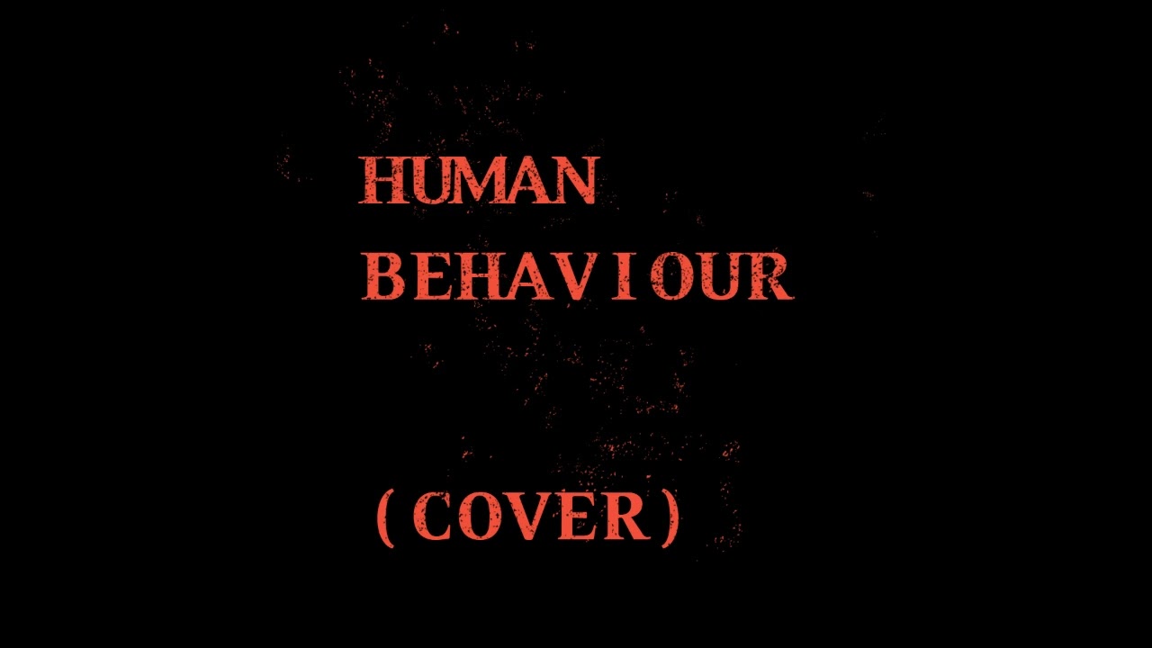 Sebik Electro-Human behaviour  (cover)
