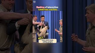 Ranking of interaction moments between celebrities and pets #ranking #celebrity #pets
