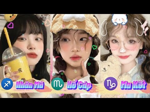 Video Tik Tok 12 Cung Hoàng Đạo ???????? Top Các Cung Tài Năng... - youtube