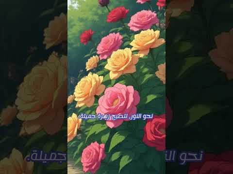 ماذا كانت قبل بذرة زراعة قصص ملهمة اختبار تفاؤل حياة جديدة تحفيز Anime اكسبلور الاشتراك صباح الخير 