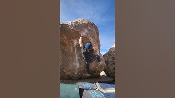 Dream Sequence V6 - Joshua Tree