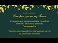 Сименон Жорж - Старая дама из Байе - супер аудиокнига