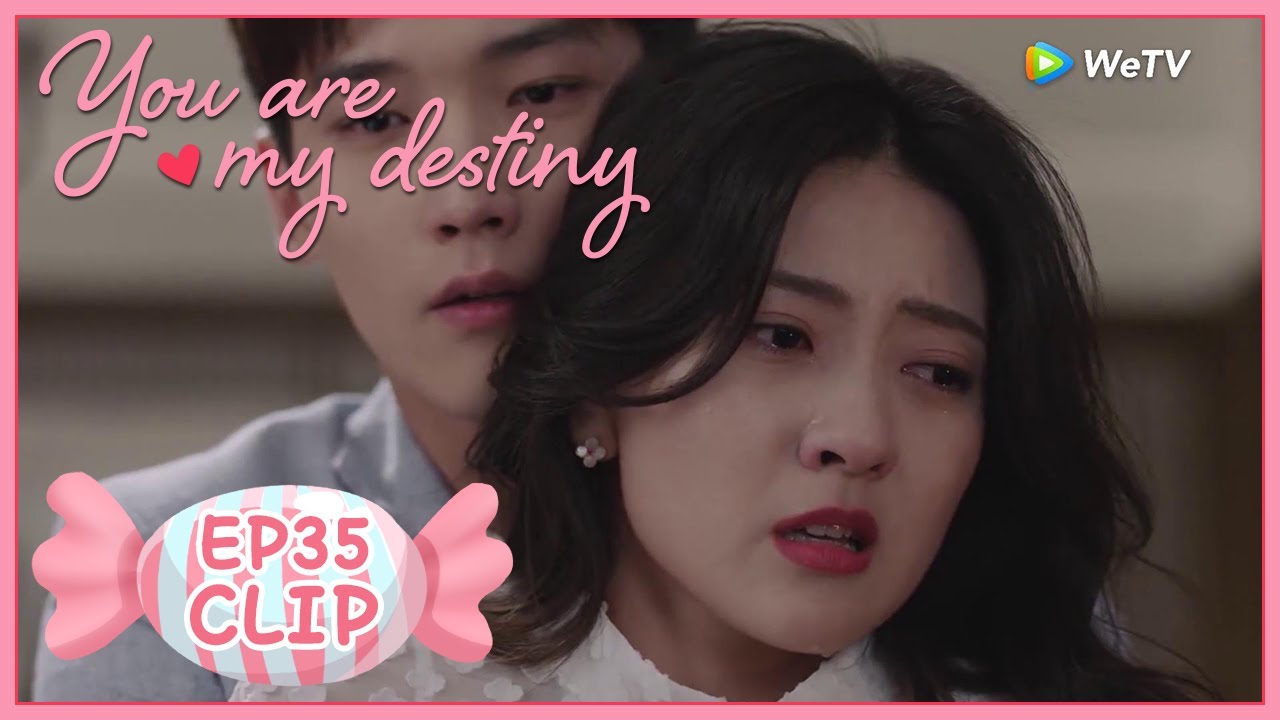 【You Are My Destiny】EP35 Clip | Can they four have a happy dinner? | 你是我的命中注定 | ENG SUB