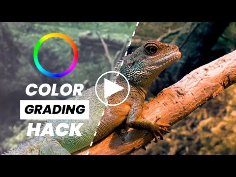 One Click Color Grade Video Color Grading Tips - One Click Video Color Grading - Tech Art ...