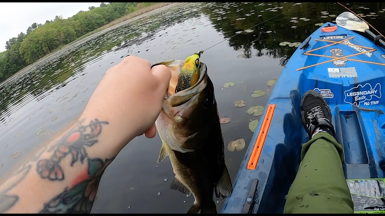 Fishing For Big Bass: Frog and Texas Rig Fishing!