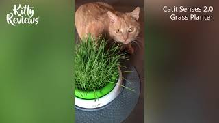 Catit Germinador Cat Grass Planter video