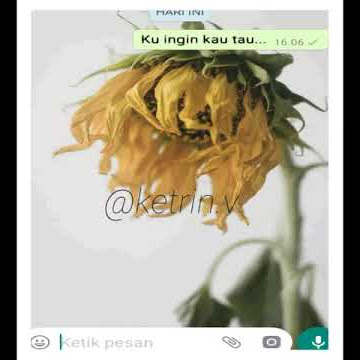 Cinta dalam hati-ungu story wa