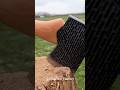 Amazing Rusty Axe Restoration to Razor Sharp