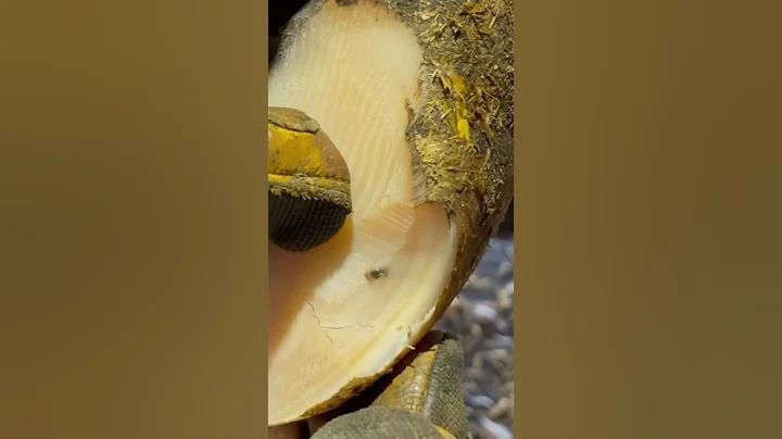 We’ve got bubbles…