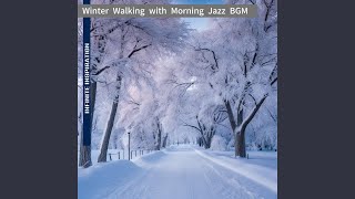 Shimmering Winter ’ S Hold