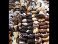 ألبوم حلويات و بسكوت وكحك العيد