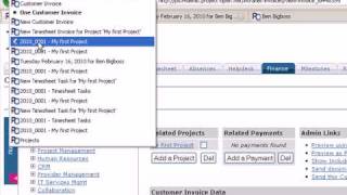 ]project-open[ - Projects - Task - Timesheet - Financial Project Controlling - Invoices