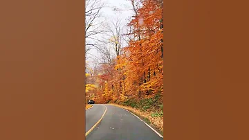 قاعد مكانا فضل شاكر Mount Greylock State Reservation Memory Lane 