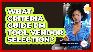 What Criteria Guide PM Tool Vendor Selection?