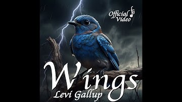 WINGS Official Music Video