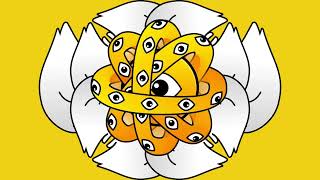 hypo seraphic second zone (no second zone)