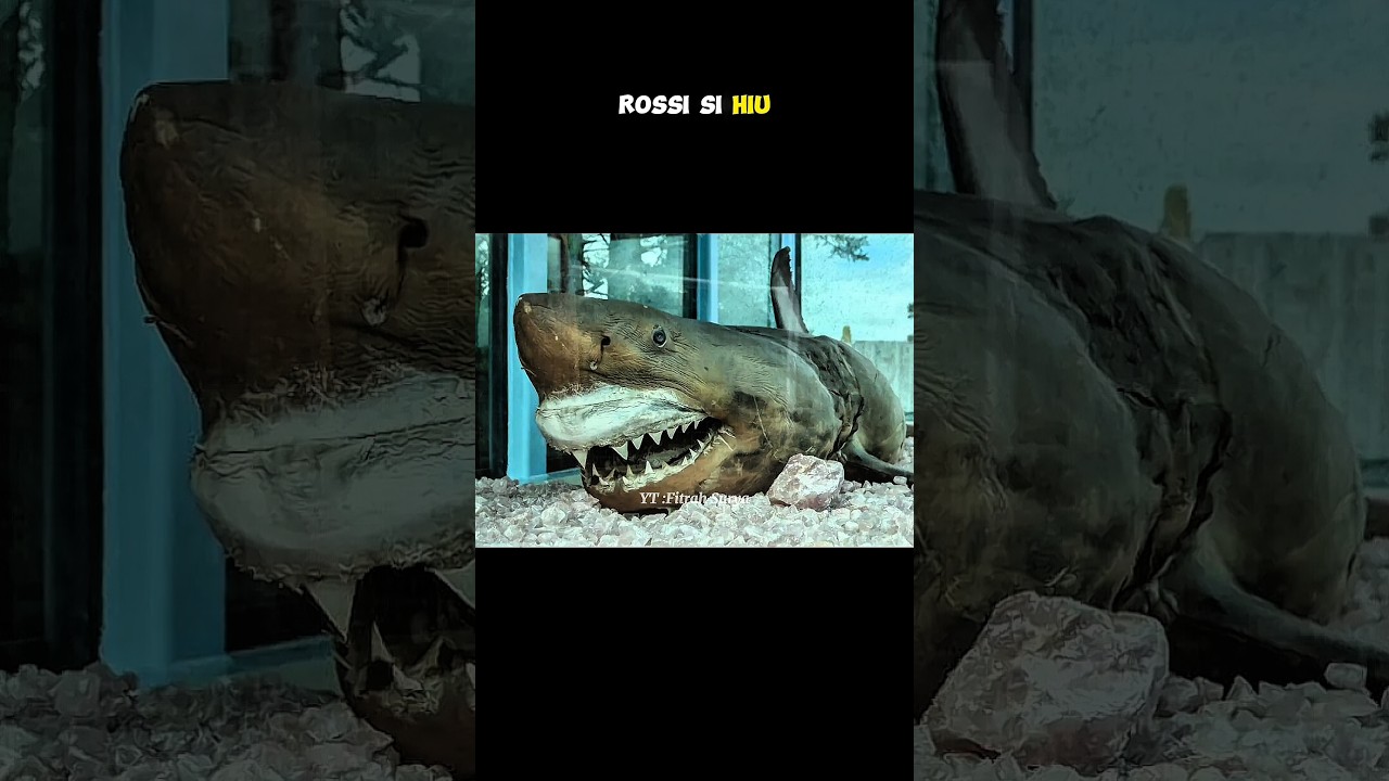 TEMPAT TERBENGKALAI DULU DAN SEKARANG #fitrahsurya #facts #shorts