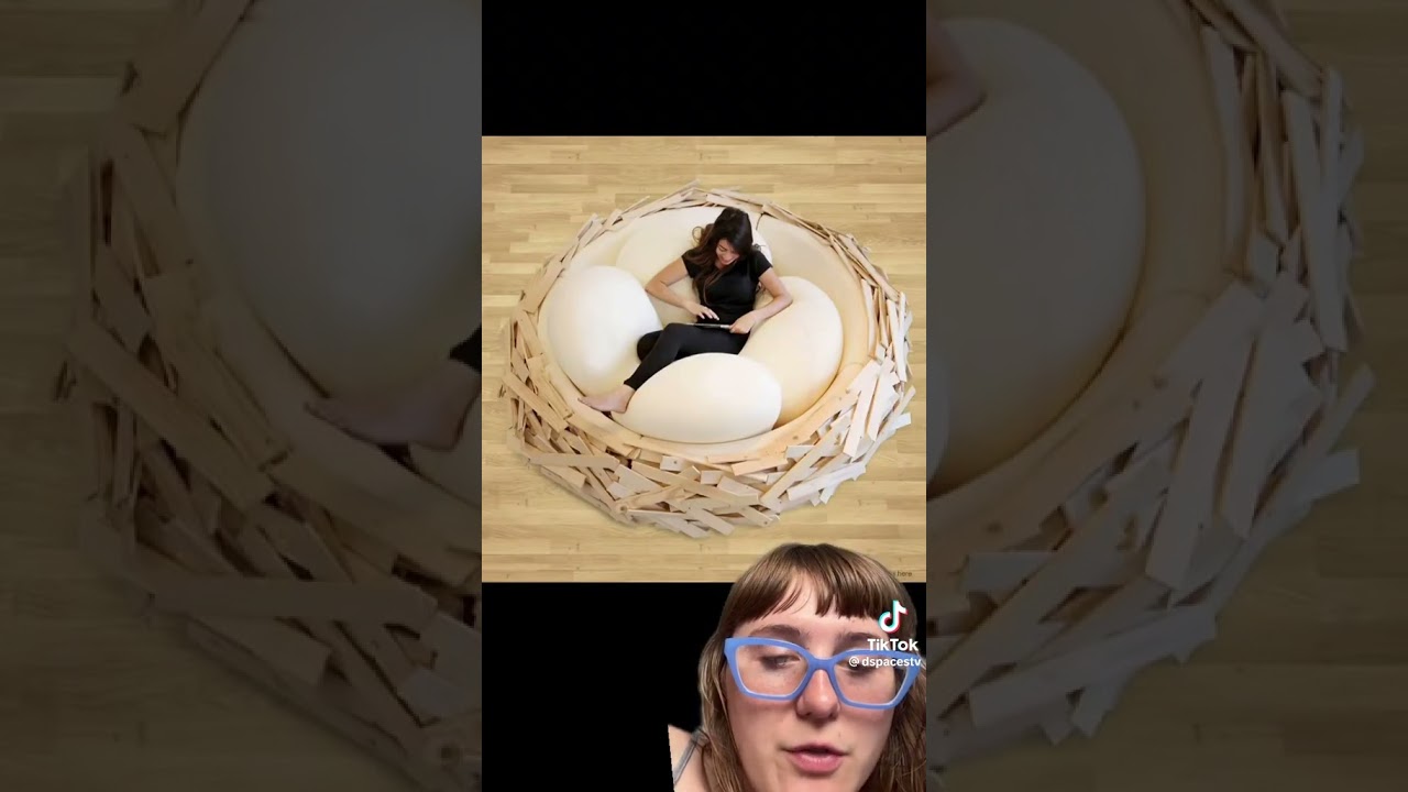 bird nest bed
