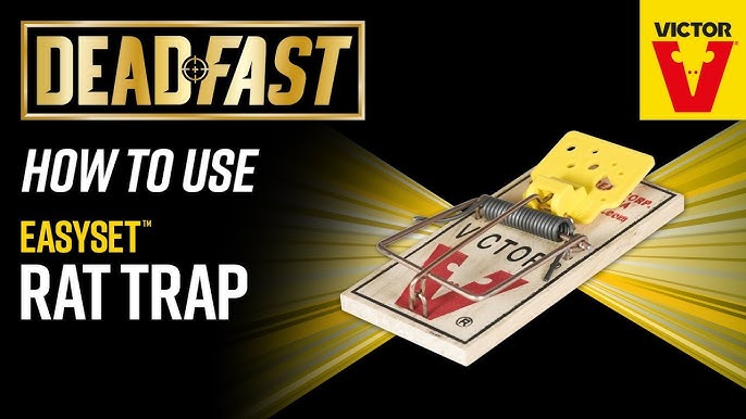 Victor Easy Set Mouse Trap 