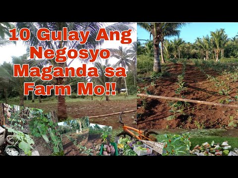 Video: Top 10 Winter Vegetable: Ang Pinakamagandang Gulay Para sa Malamig na Panahon