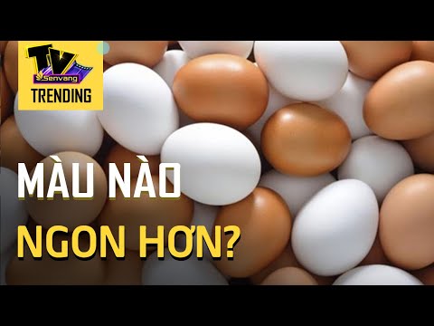 Video: Trứng Trắng Khác Trứng Nâu Như Thế Nào