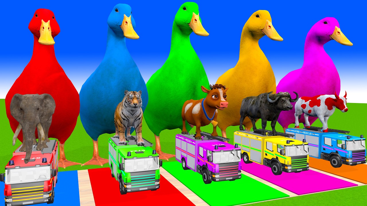 Long Slide Game With Cow Elephant Gorilla Hippopotamus Tiger 3d Animal Game Funny 3d Animals