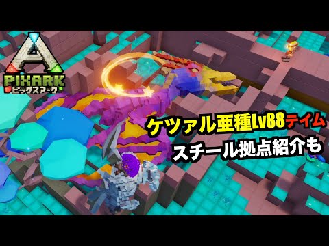 Ps4 Pixarkピックスアーク Pvp編 １２８ステゴサウルスとモロクトカゲテイム 引き続き黄金の大地で狩る Pixarkマイクラ風ark恐竜ワールド Youtube