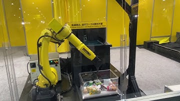 ﾌｧﾅｯｸ物流用ﾊﾞﾗ積み 2019国際ロボット展